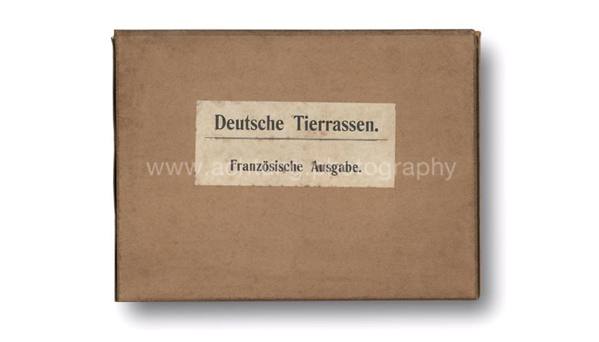 Animaux domestiques Races allemandes, Shipping box